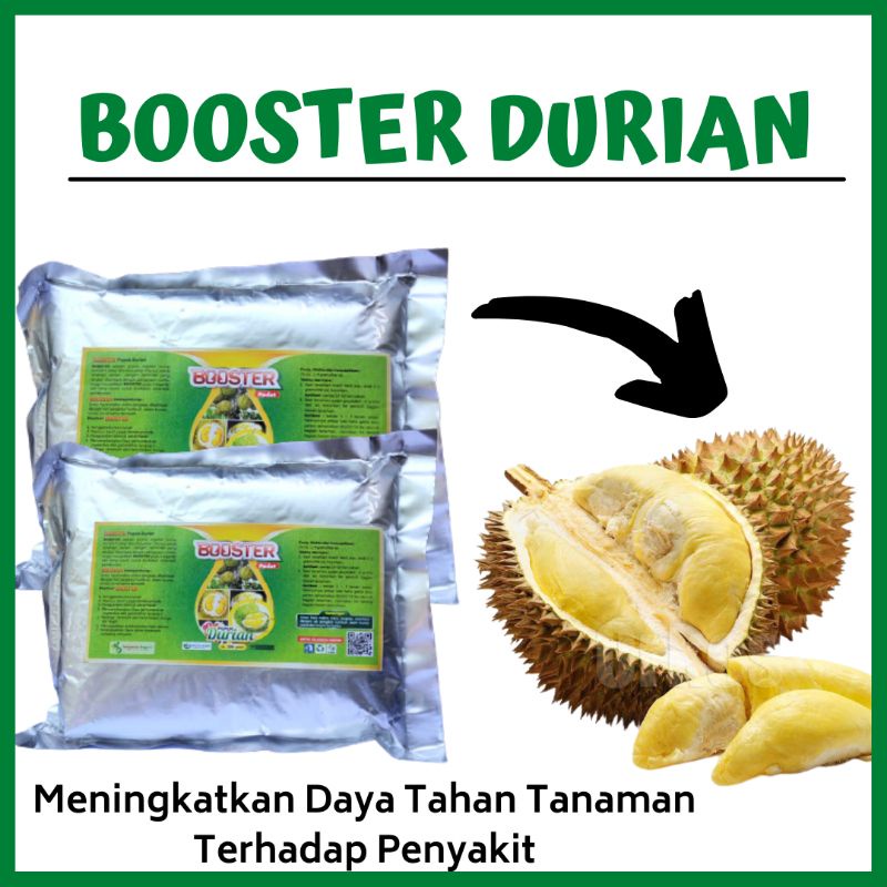 Pupuk Durian Agar Cepat Berbuah, Booster Durian Perangsang Buah