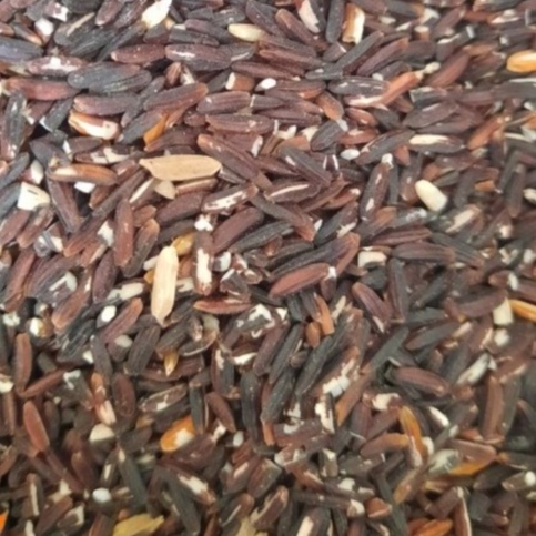 

Joeluqmany Beras Hitam Curah 100 Gram
