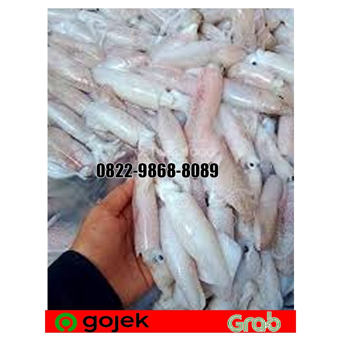 

CUMI SERO SEGAR 500 GR / CUMI SERO SEDANG UKURAN 5-7 CM / CUMI SEGAR