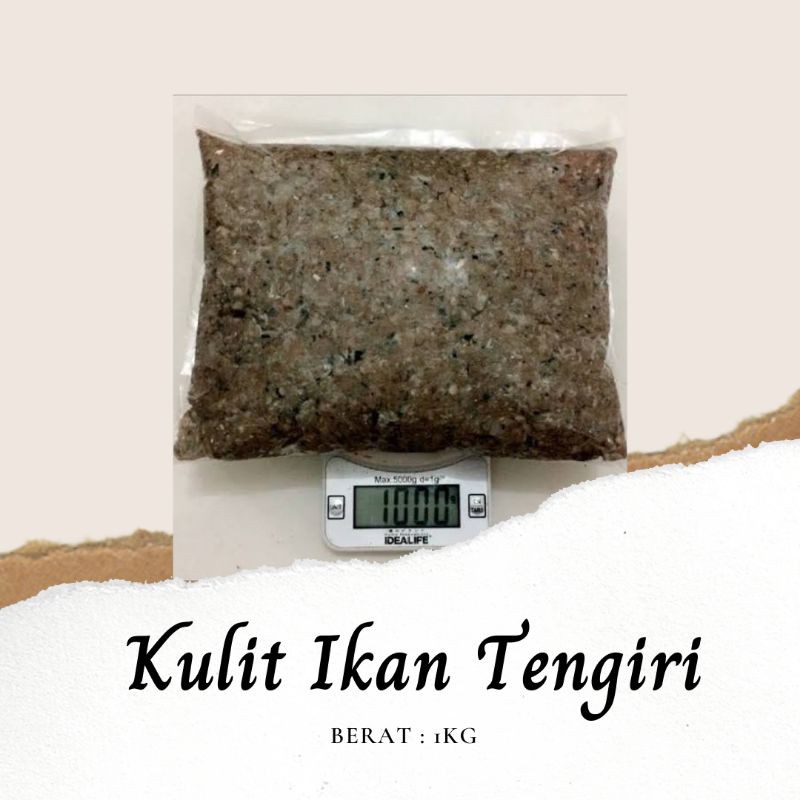 

Kulit ikan Tengiri / Kulit Tengiri