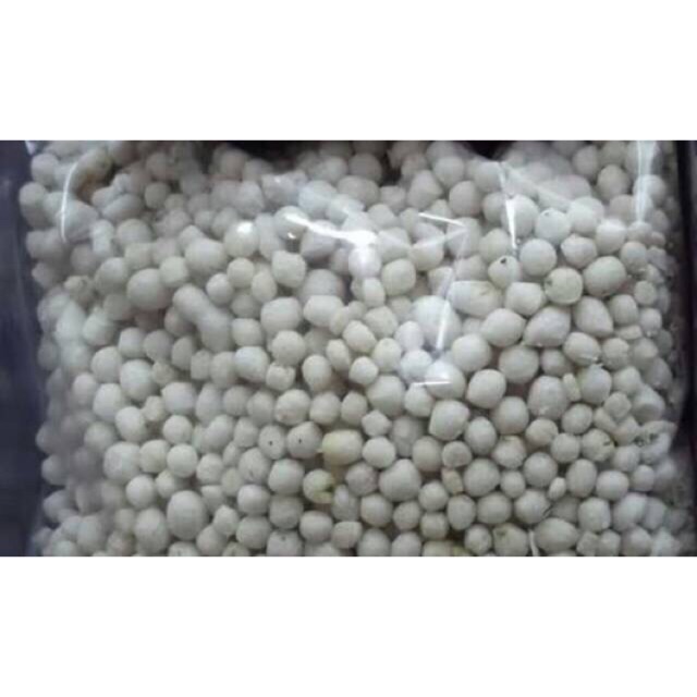 

Toping Pilus Kletuk