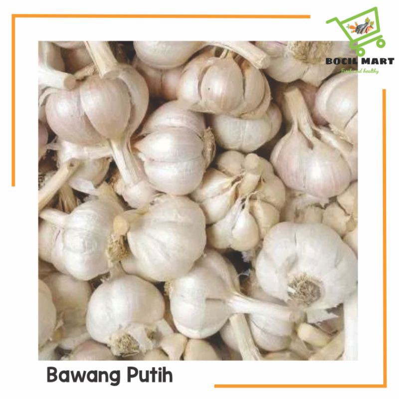 

[BOCIL MART] BAWANG PUTIH KATING 250GR / BAWANG PUTIH SINCO / BAWANG PUTIH KUPAS BERKUALITAS