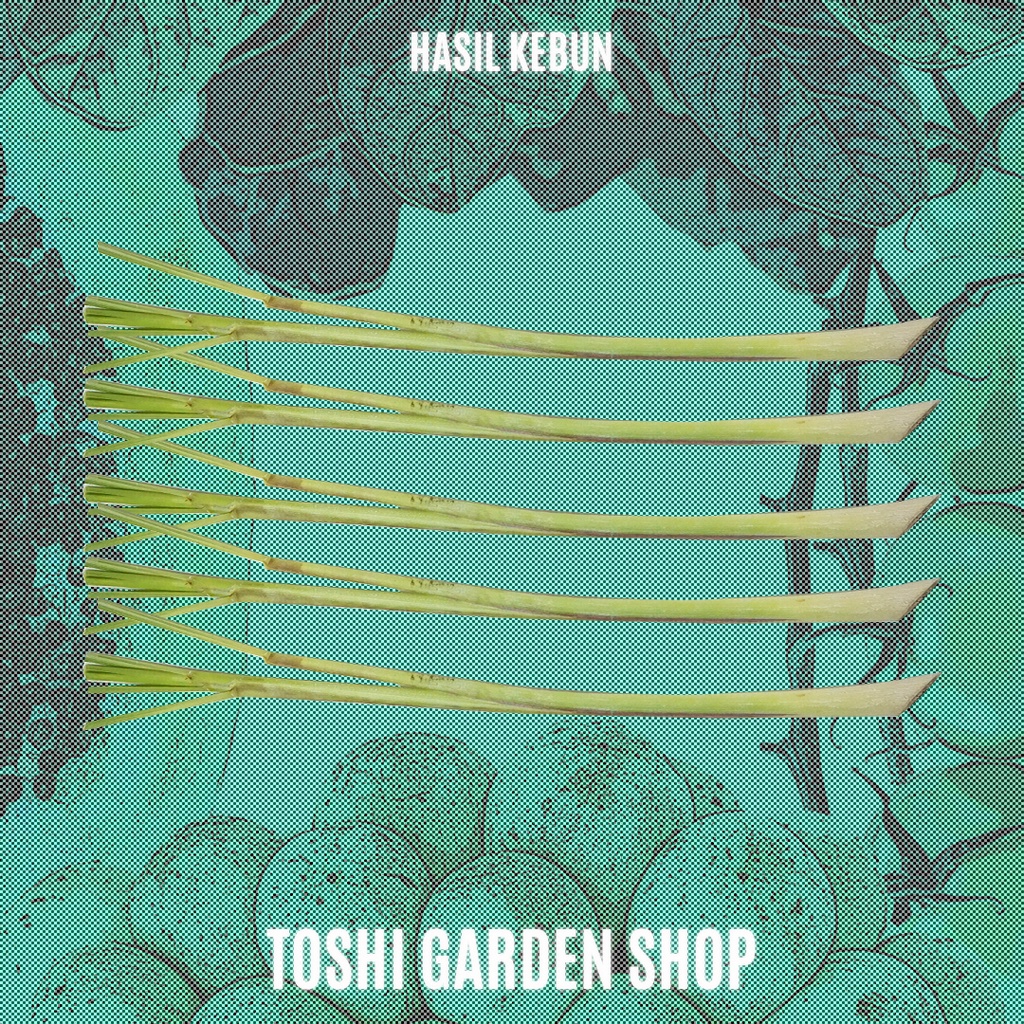 

SEREH/SERAI 250 GR (HASIL KEBUN)