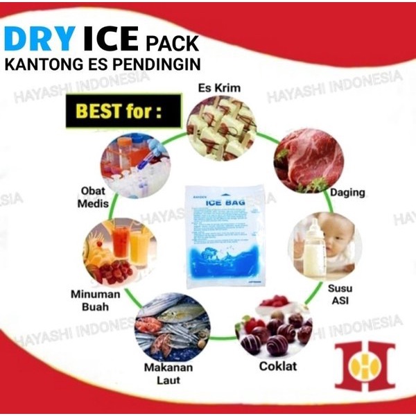 Ice Gel Pack Thermafreeze Bag Dry Cooler Jelly Kantong Es Pendingin-10PC