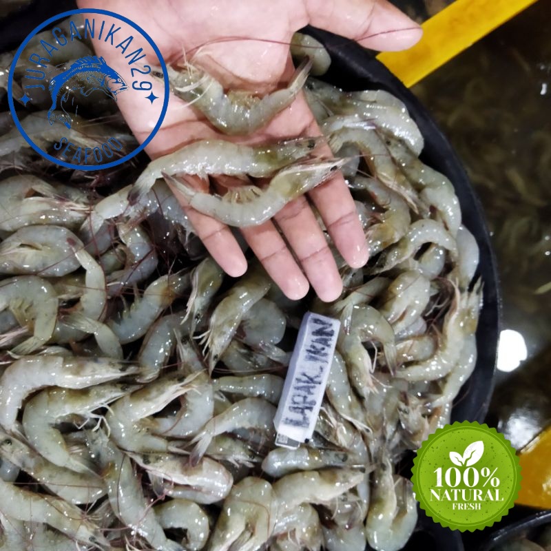 

Udang Vaname Segar Size110-120 1~Kilogram