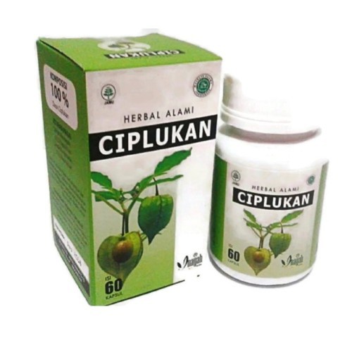 Ciplukan / Kapsul Daun Ciplukan 60 kapsul / Ciplukan 99 Isi 50 Kapsul