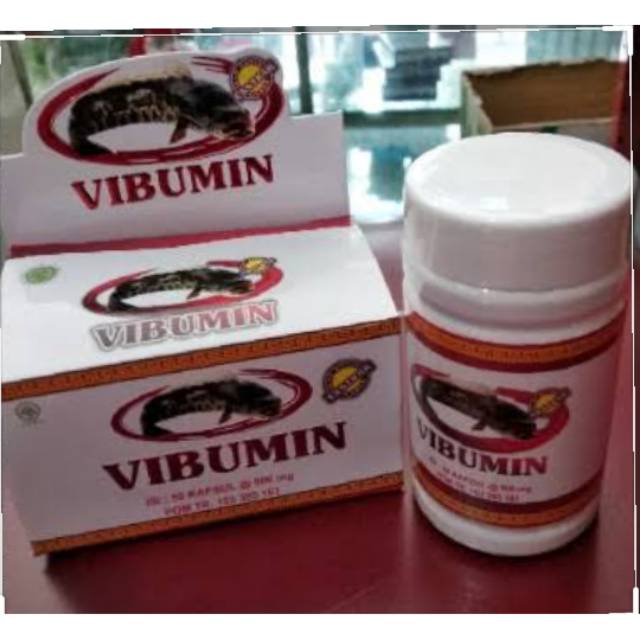 VIBUMIN ( KAPSUL IKAN GABUS )