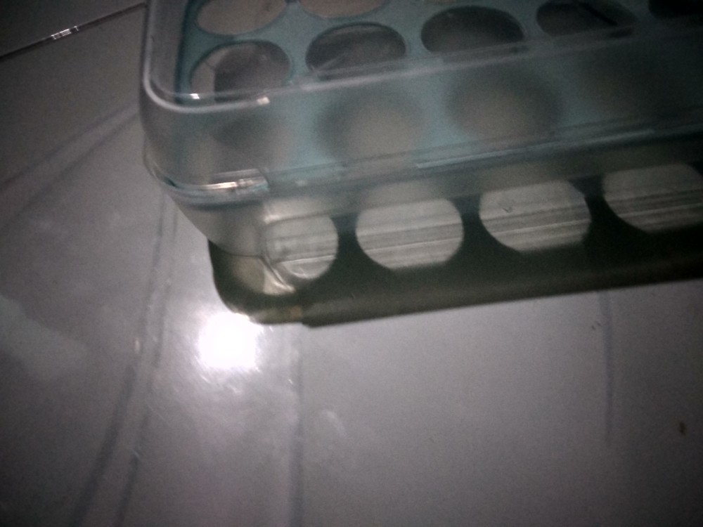 Jhdp51 Kotak Penyimpanan Telur Murah Transparant 15 Sekat Egg Box Organizer Tempat Organiser Telur