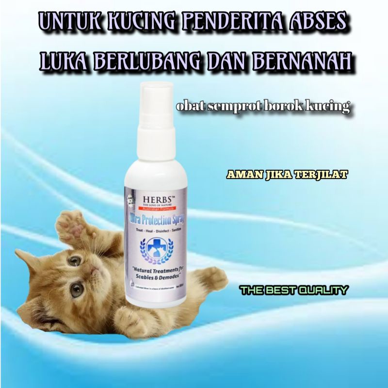 spray abses kucing luka borok bernanah