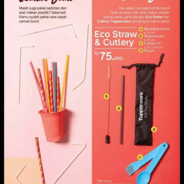 Eco straw n cutlery