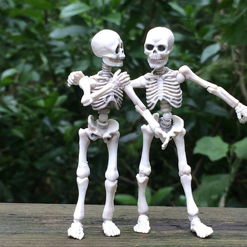 Mr Bones Skull Toy Pose Skeleton Human Body Flexible Action Figure