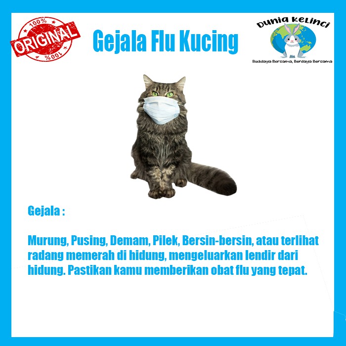 OBAT FLU BATUK DAN PILEK KUCING FLUCAT 30 ML