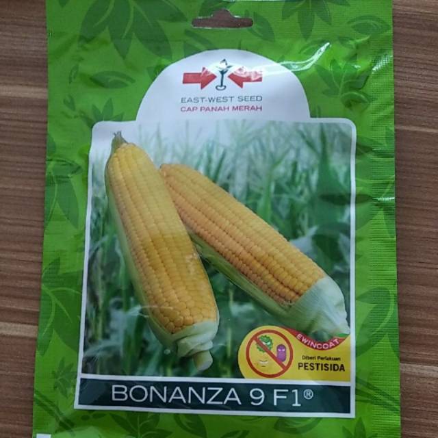 Jagung Bonanza 9 F1 @ 200 Butir