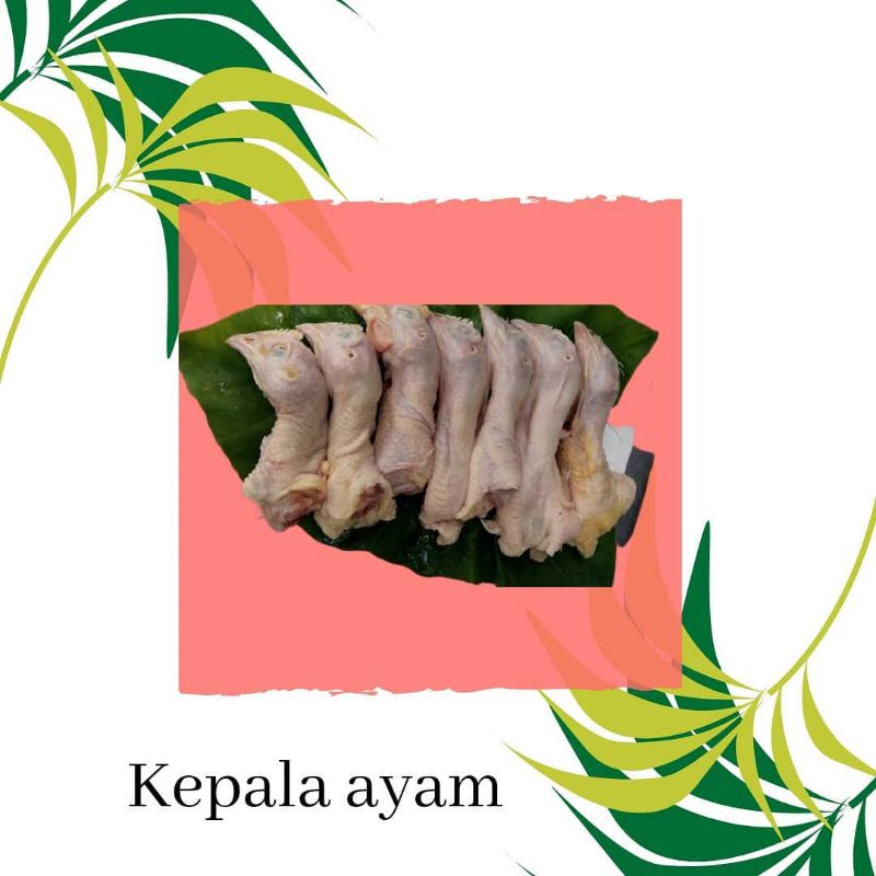 

kepala ayam