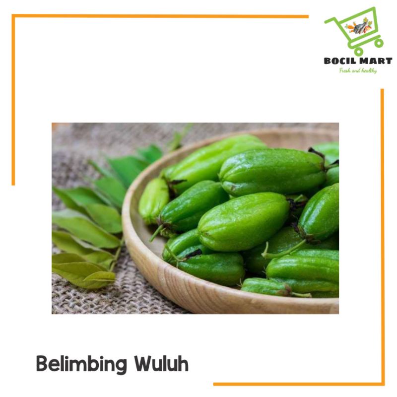 

[BOCIL MART] BELIMBING WULUH