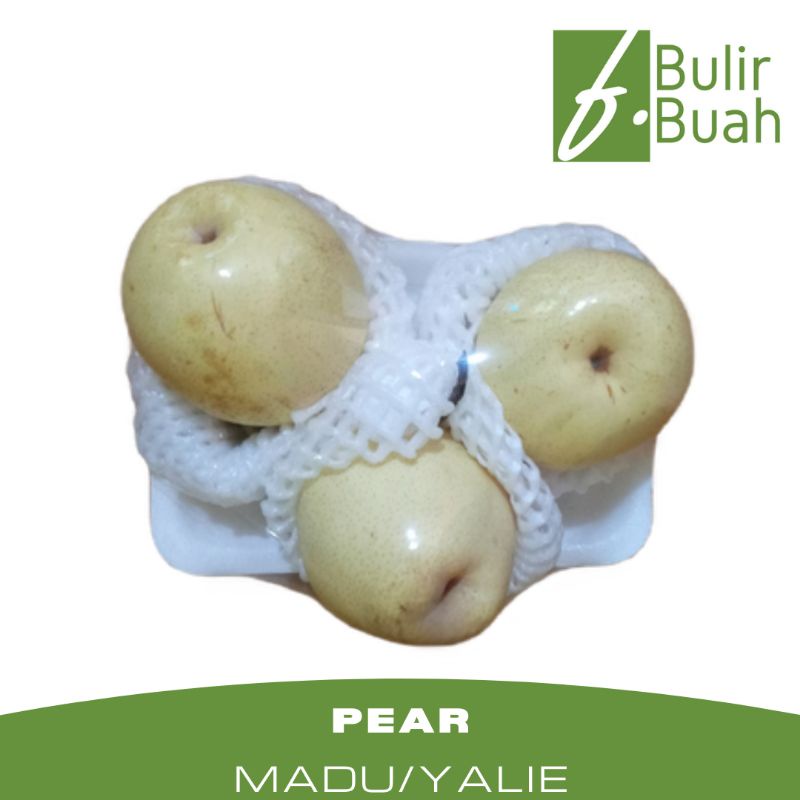 

Buah Segar Pear Madu/Pear Yalie Paket Hemat 2-3 Pcs/Pack