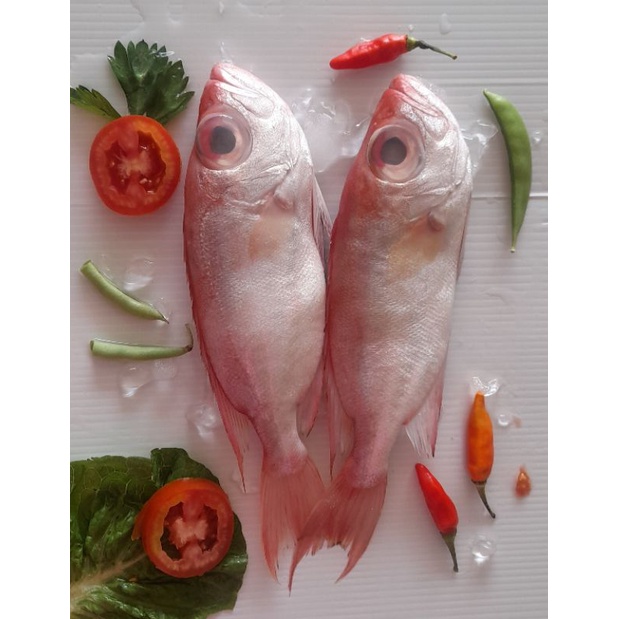 

IKAN MATA GOYAN FROZEN 1 KG