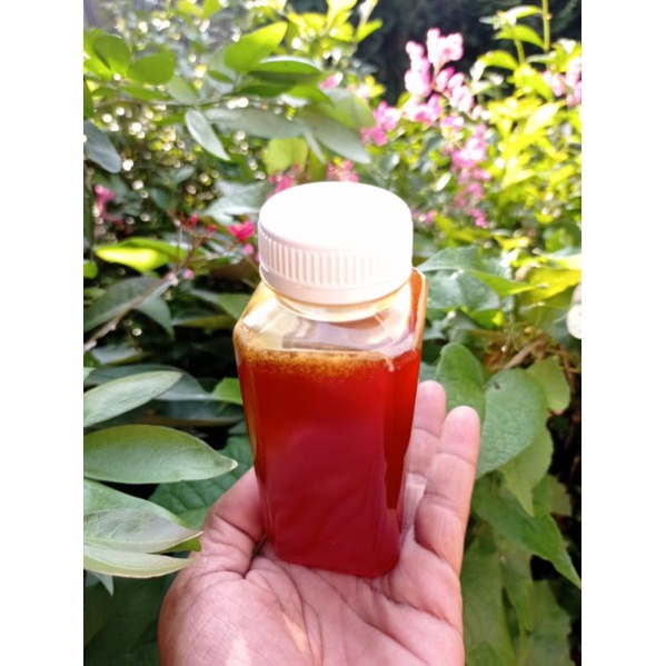 

Madu klanceng asli/murni