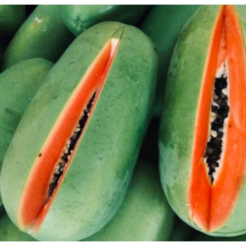 

Buah Pepaya California Fresh