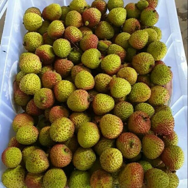 

Leci madu bandung