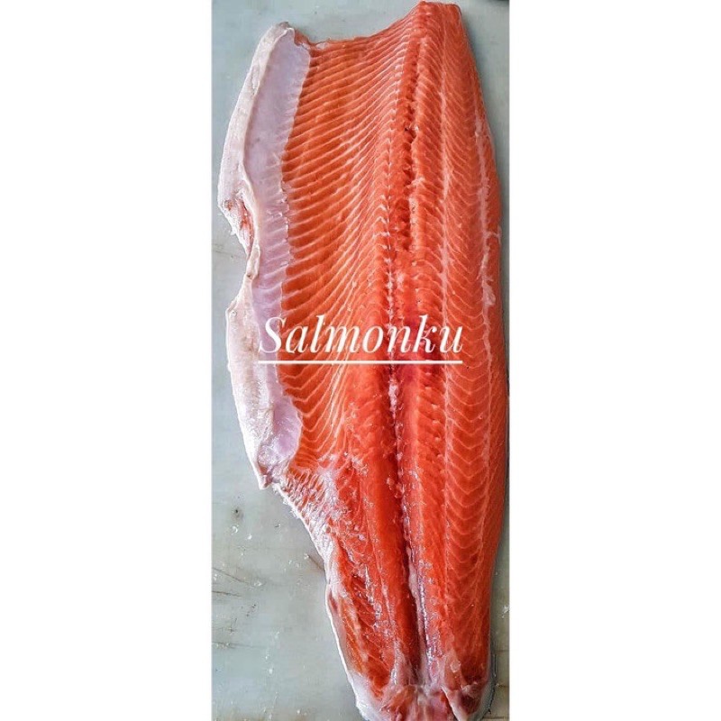 

Ikan Salmon Fillet Trout Norwegia 1000gram (Sashimi Grade)