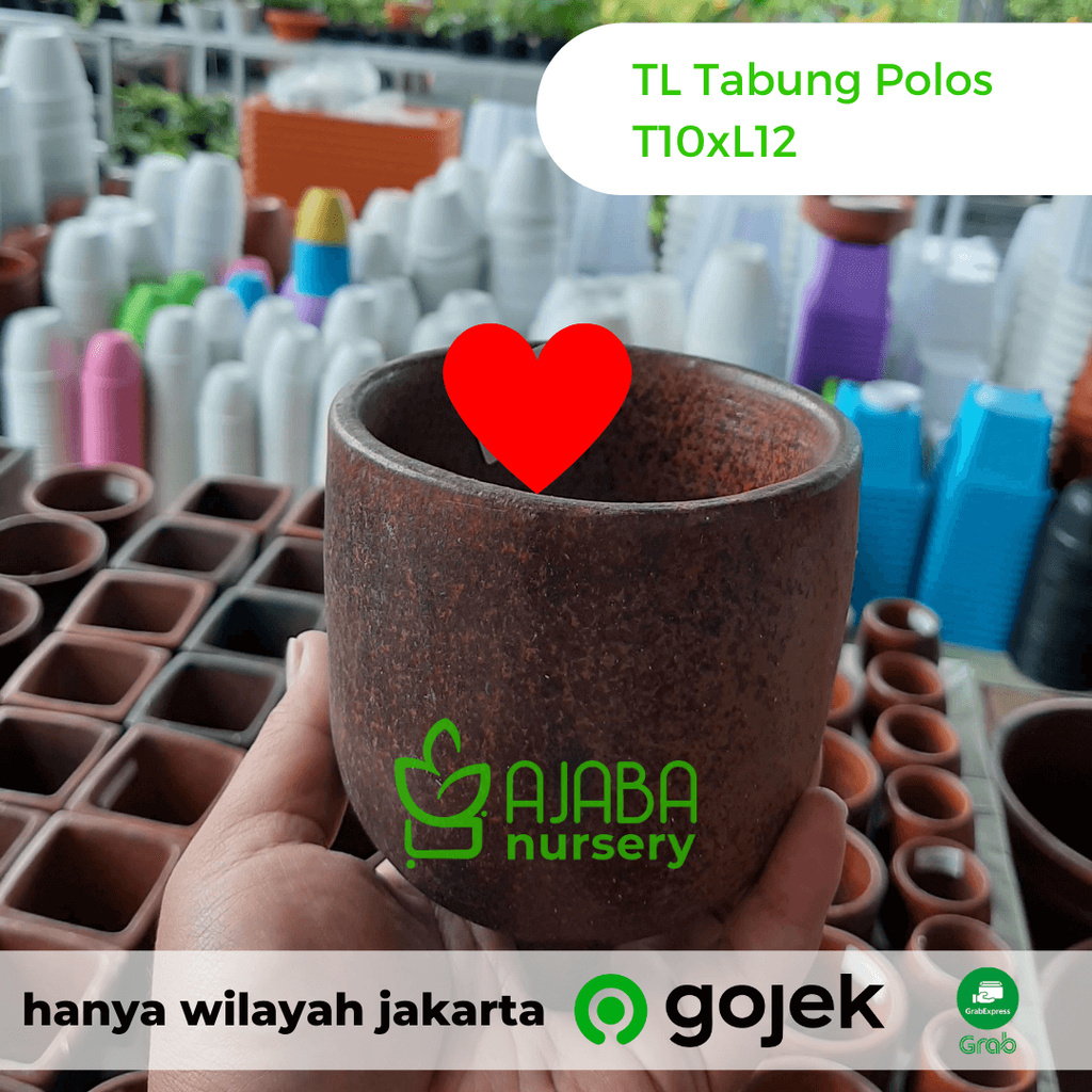 Pot Terakota - Gerabah Asli Lombok - TL Tabung Polos T10 x L12