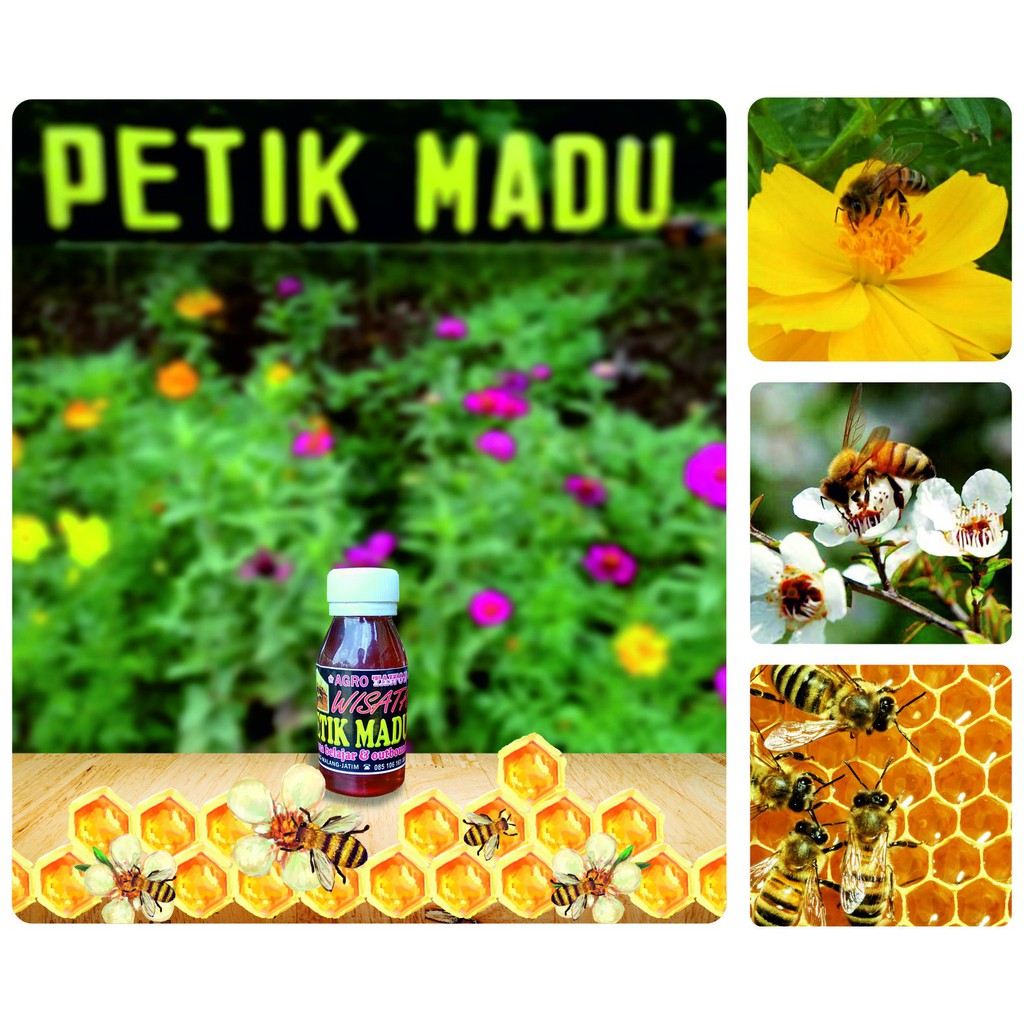 

Madu Murni buat souvenir netto 110gram