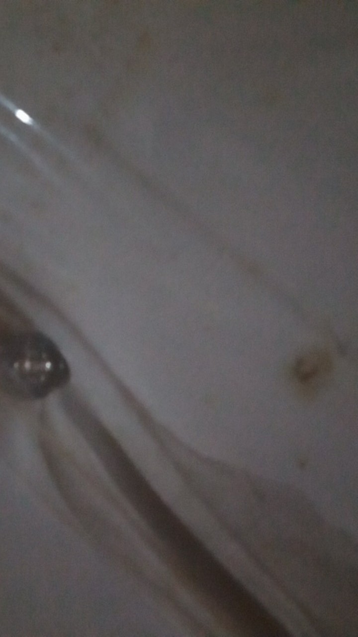 Ready Super Jumbo Batik Jumbo Couple Batik Sarimbit Gamis 3l 4l 5l 6l Seragam Pesta Multazam