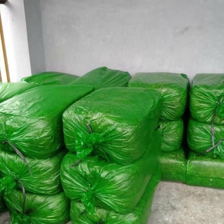 ( Best Seller ) Plastik Silase 50 60 &amp; 70 Mikron - Plastik Pakan Silase dan Fermentasi