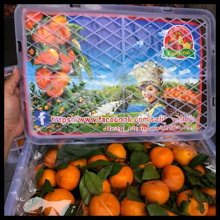 

1 Kranjang Jeruk Santang Daun ( 8Kg )