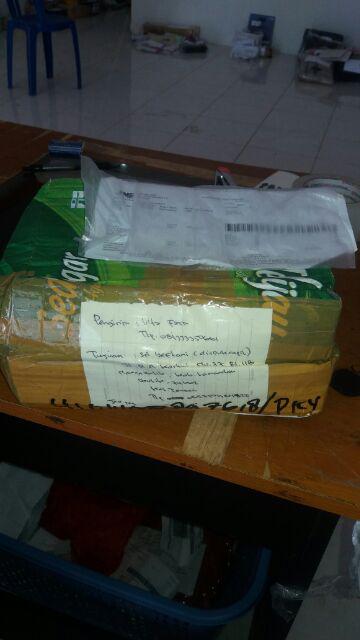Anggrek Bulan Taiwan Remaja Paket 5pcs