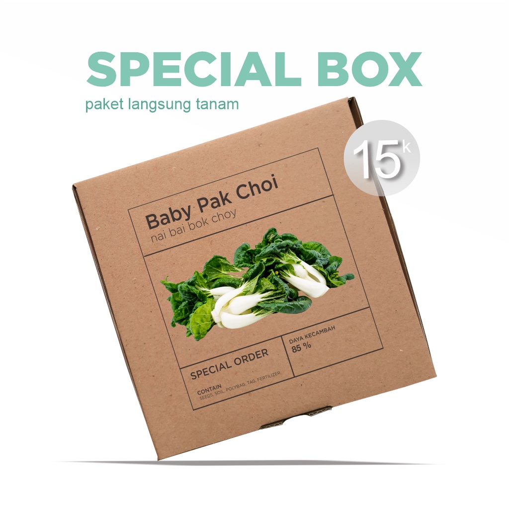 Paket Langsung Tanam - Gardening Kit - SPECIAL BOX - Benih Baby Pak Choi Nai Bai Bok Choy Seeds