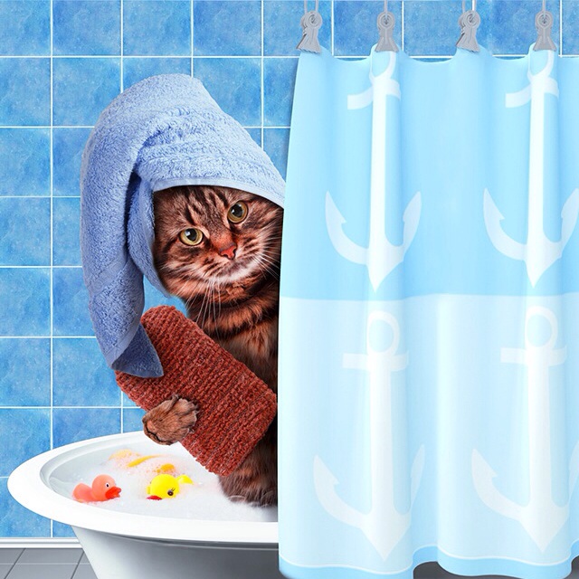 megaratnasari