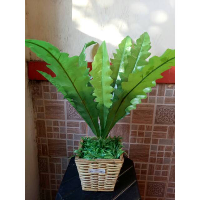 Artificial daun gelombang cinta +pot bakul rotan anyam