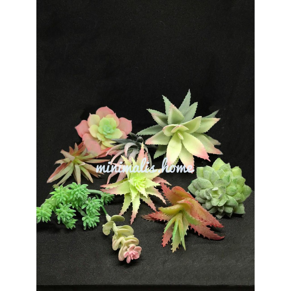 Kaktus Mini Latex Bunga Plastik Artificial Sukulen Sekulen Kaktus Mini Latex Bunga Plastik Artificial Sukulen Sekulen