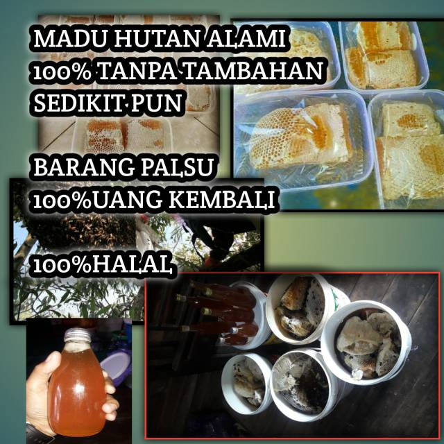 

Madu Sarang 1000gr/1kg