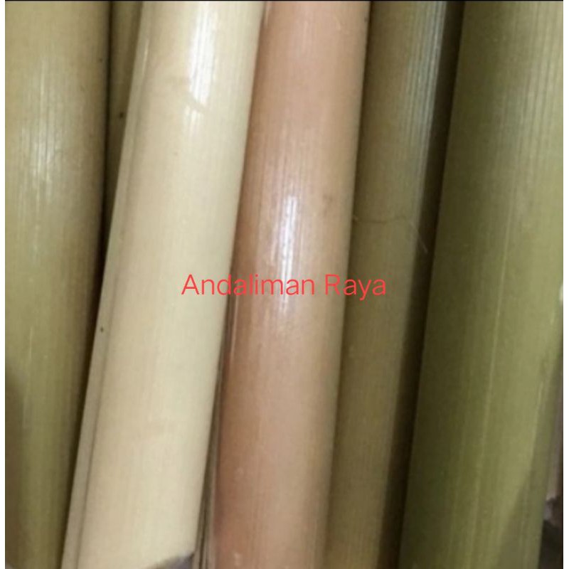 

Batang Rias/Kecombrang 500 gram