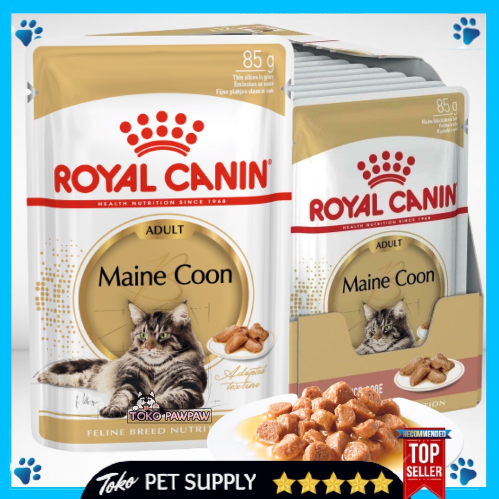 Maine coon pouch 85gr Royal Canin WET MAINECOON ADULT 85G makanan basah kucing rc 85gr Pakan Wetfood Catfood Cat