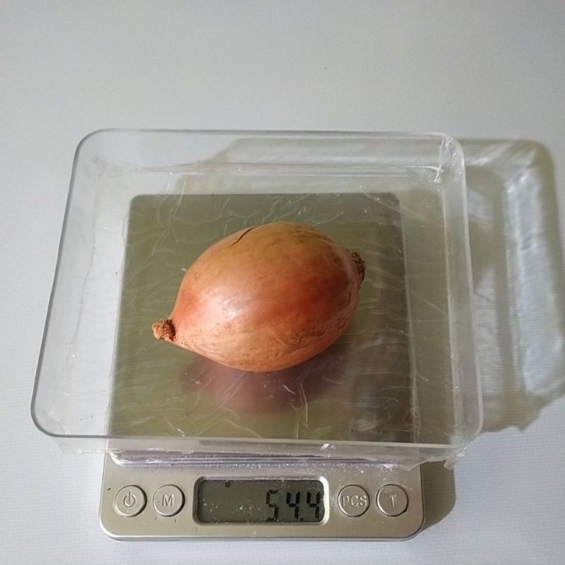 

bawang bombay