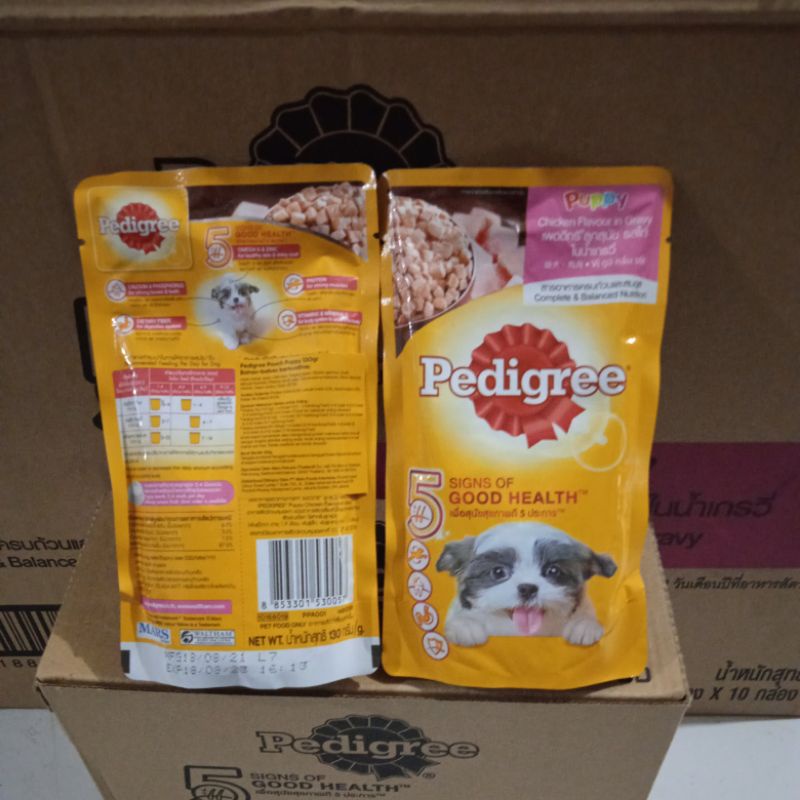 PEDIGREE SACHET PUPPY CHIKEN IN GRAVY 130g paket 12 pics