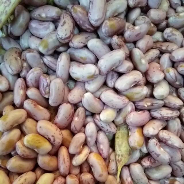 

Kacang Jogo Merah 250gr