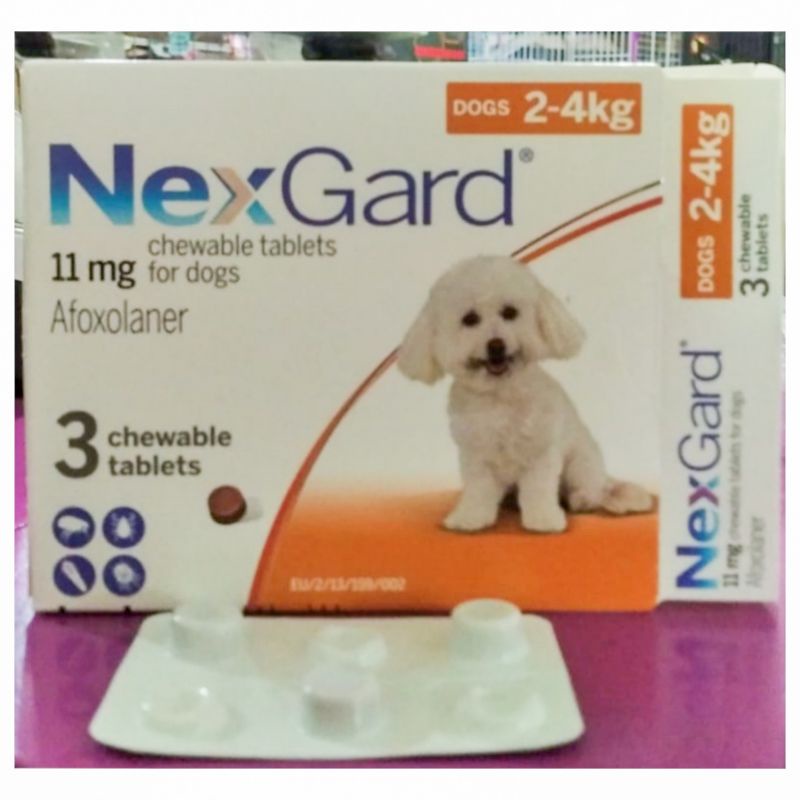 obat kutu nexgard untuk anjing obat kutu oral