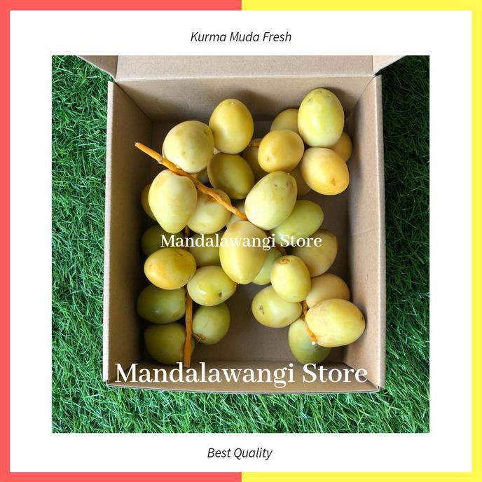 

Kurma Muda Hijau / Kurma Ruthab / Ruthob 1Kg (Harga Khusus Po) Arkanamarketht