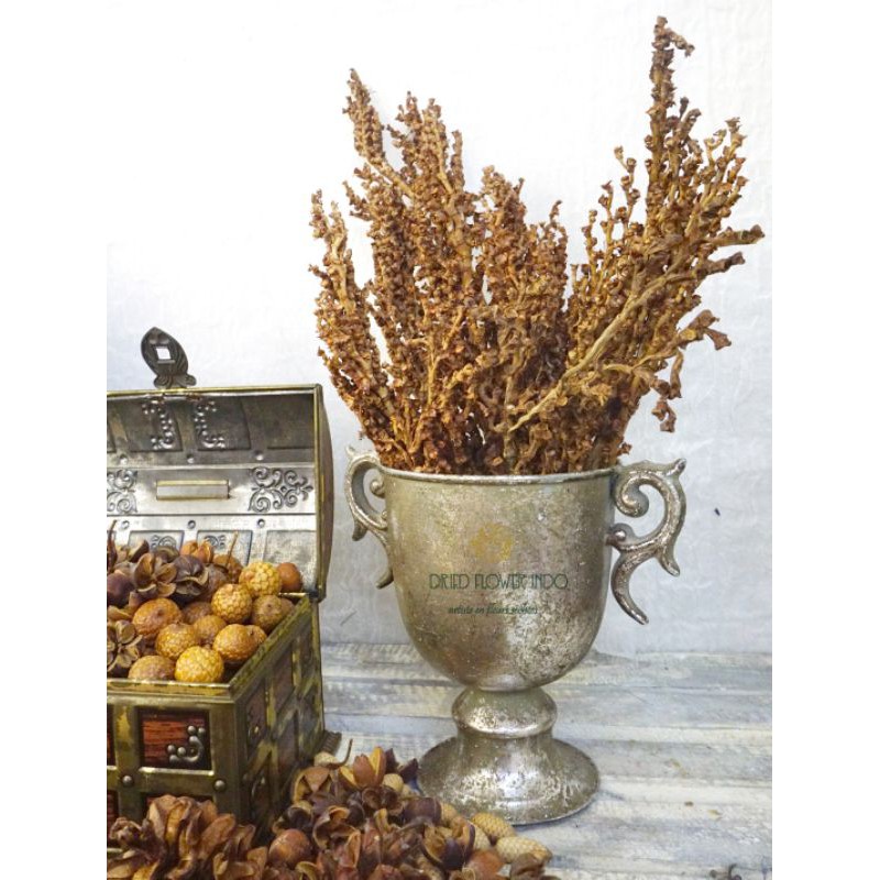 ECER manggar kering dekorasi ranting rotan rustic rattan branch