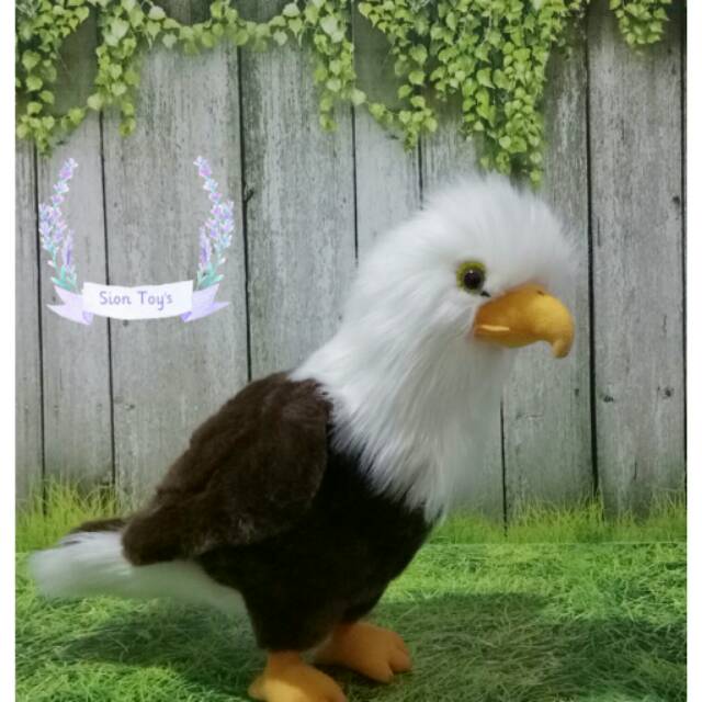 Boneka Burung Elang Eagle Dolls Shopee Indonesia