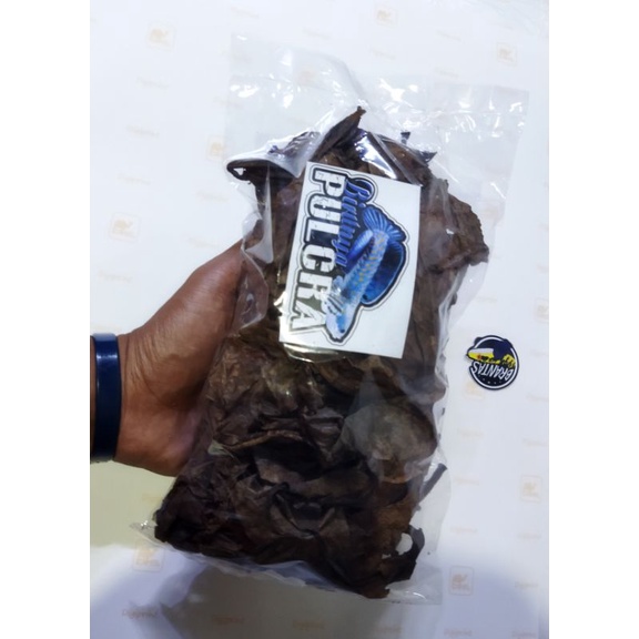 daun Ketapang dan daun kelakai murni alam sudah diproses/siap pakai/50gram bonus stiker mini random