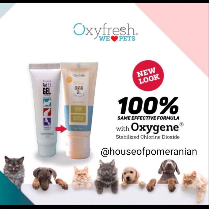 Oxyfresh dental gel 28gr pet pasta gigi obat luka hewan anjing kucing kelinci burung