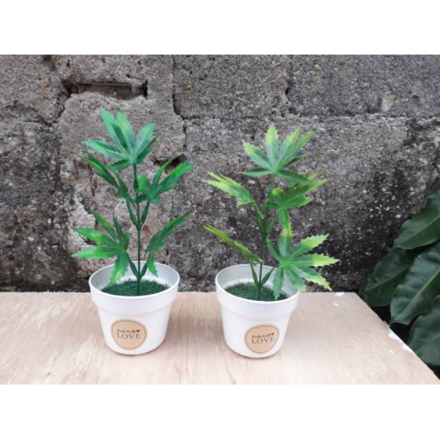 Tanaman hias daun singkong/ bunga plastik