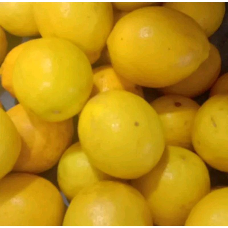 

jeruk lemon fresh 1kg berkualitas