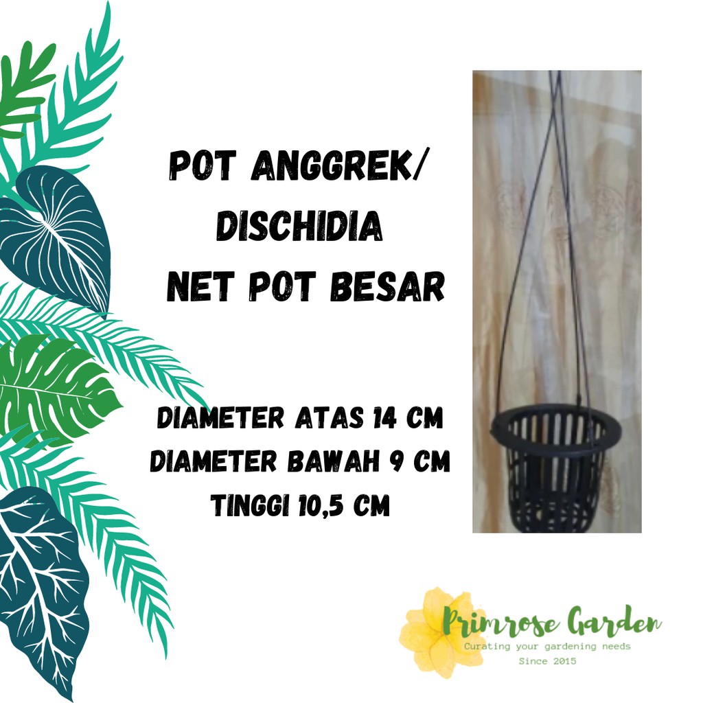 Pot anggrek gantung HITAM / pot dischidia/ net pot besar hitam